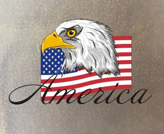 Logo Sticker Đại Bàng Eagle ủi áo tại nhà-IN LOGO THEO YÊU CẦU INBOX -công nghệ in pet chuyển nhiệt ủi trực tiếp lên áo rất đẹp-MAJESTIC.CLO-Luck