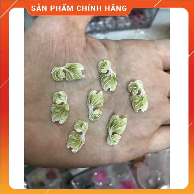 Hoa ẩn tay thạch thảo - hoa ẩn móng tay bằng bột/cứng móng/gel đắp móng