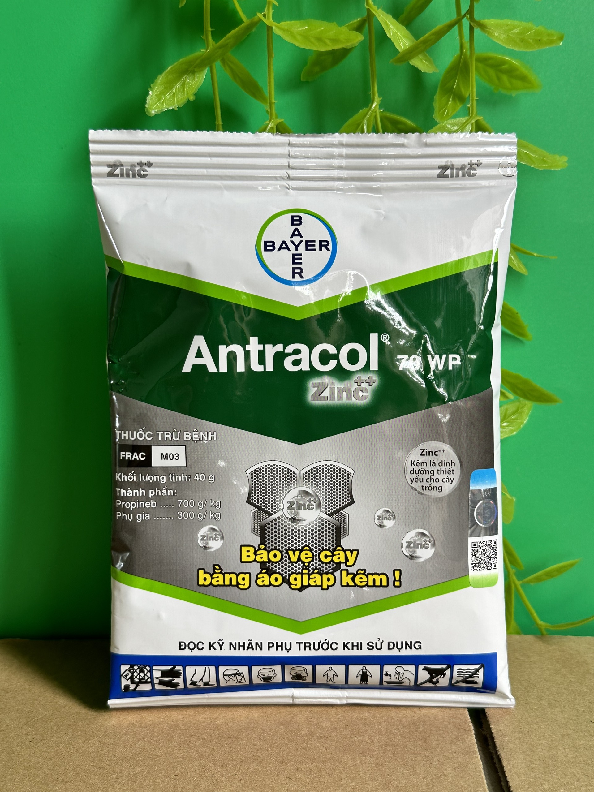 Antracol diệt nấm đốm lá thán thư sương mai trên cây trồng dành cho hoa lan cây cảnh