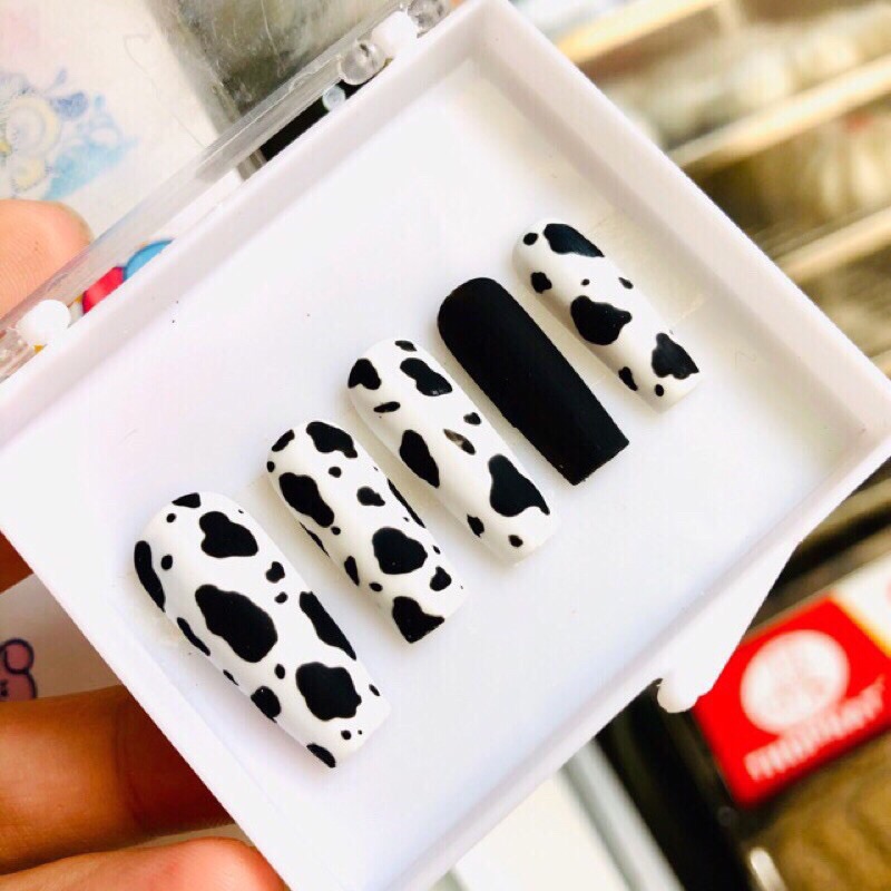 nailbox thiết kế