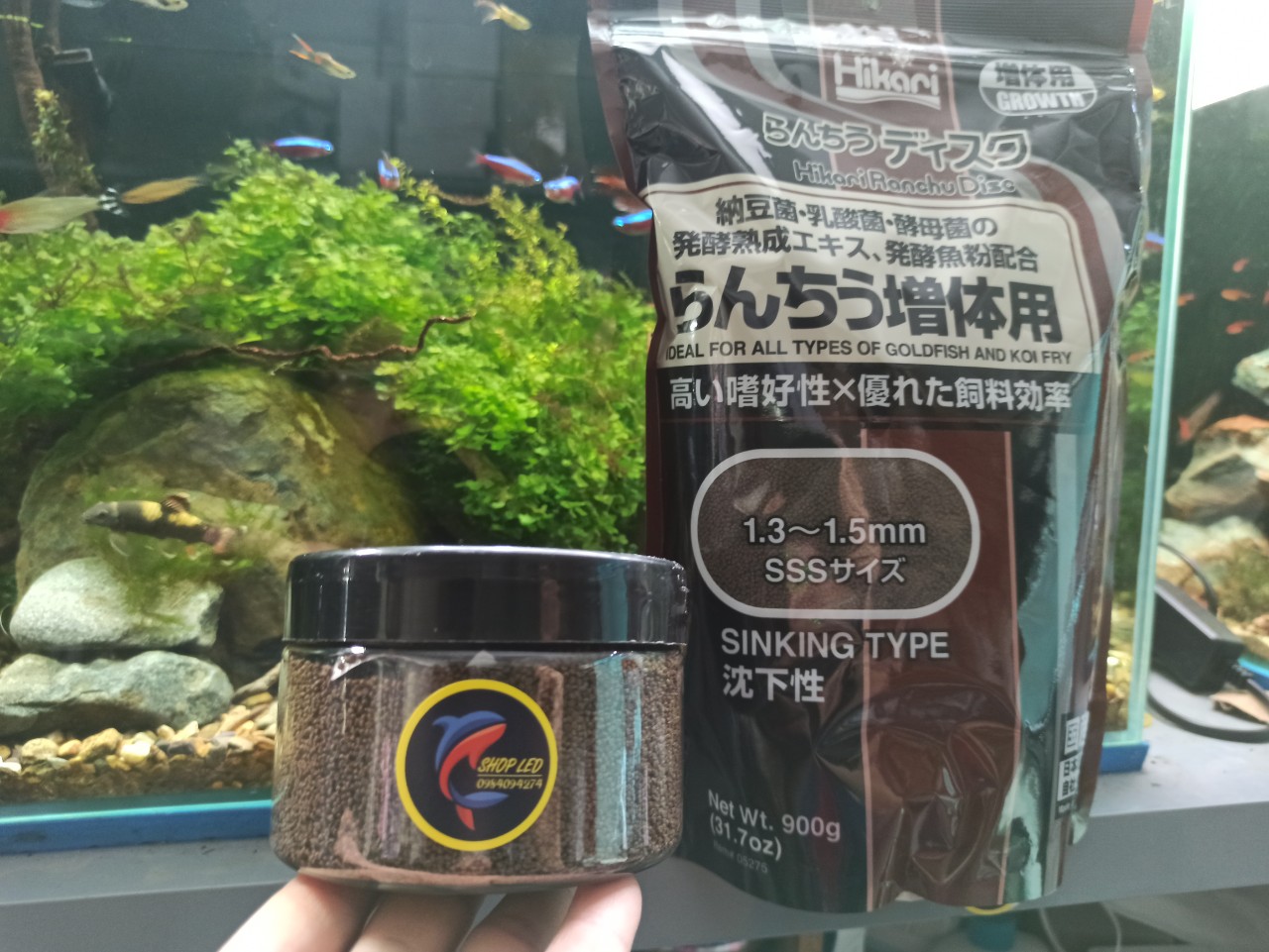 [Hoàn Tiền 10%]Thức ăn Pleco Hikari - Thức ăn chuyên dụng cho cá tầng đáy - Pleco - Cá săn mồi - Cám Hikari - cám Nhật - shopleo