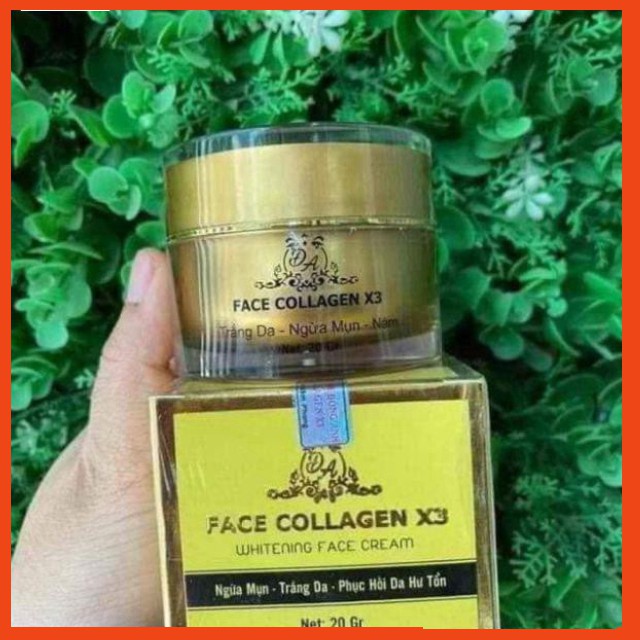 [Hcm]Face Collagen X3 Đông Anh