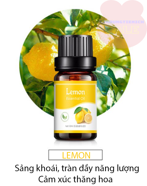 Tinh Dầu Xông Phòng 100% Thiên Nhiên Cao Cấp 10ml hương thơm dịu nhẹ không gây nhức đầu (18 loại hương thơm)