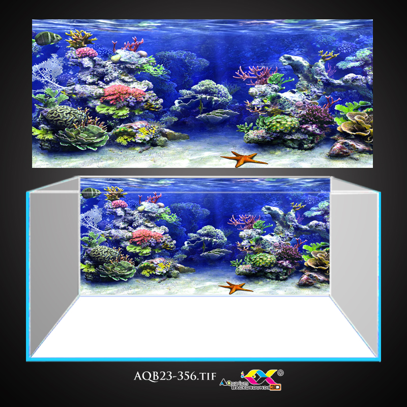 Koifish shop - TRANH 3D4K - Tranh 3D dán bể cá - San hô dưới biển - Lên bể nổi bật - In theo kích th