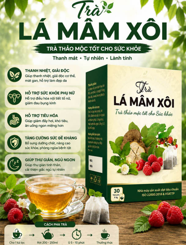 Trà túi lọc mâm xôi - Bầu đất 30 gói 3gam