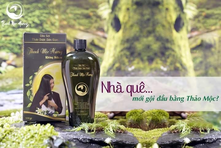 Dầu gội Thanh Mộc Hương Thảo Dược Dân Tộc Dao chống Nấm Đầu Chống Rụng Tóc Kích Thích Mọc Tóc – Tươi Shop
