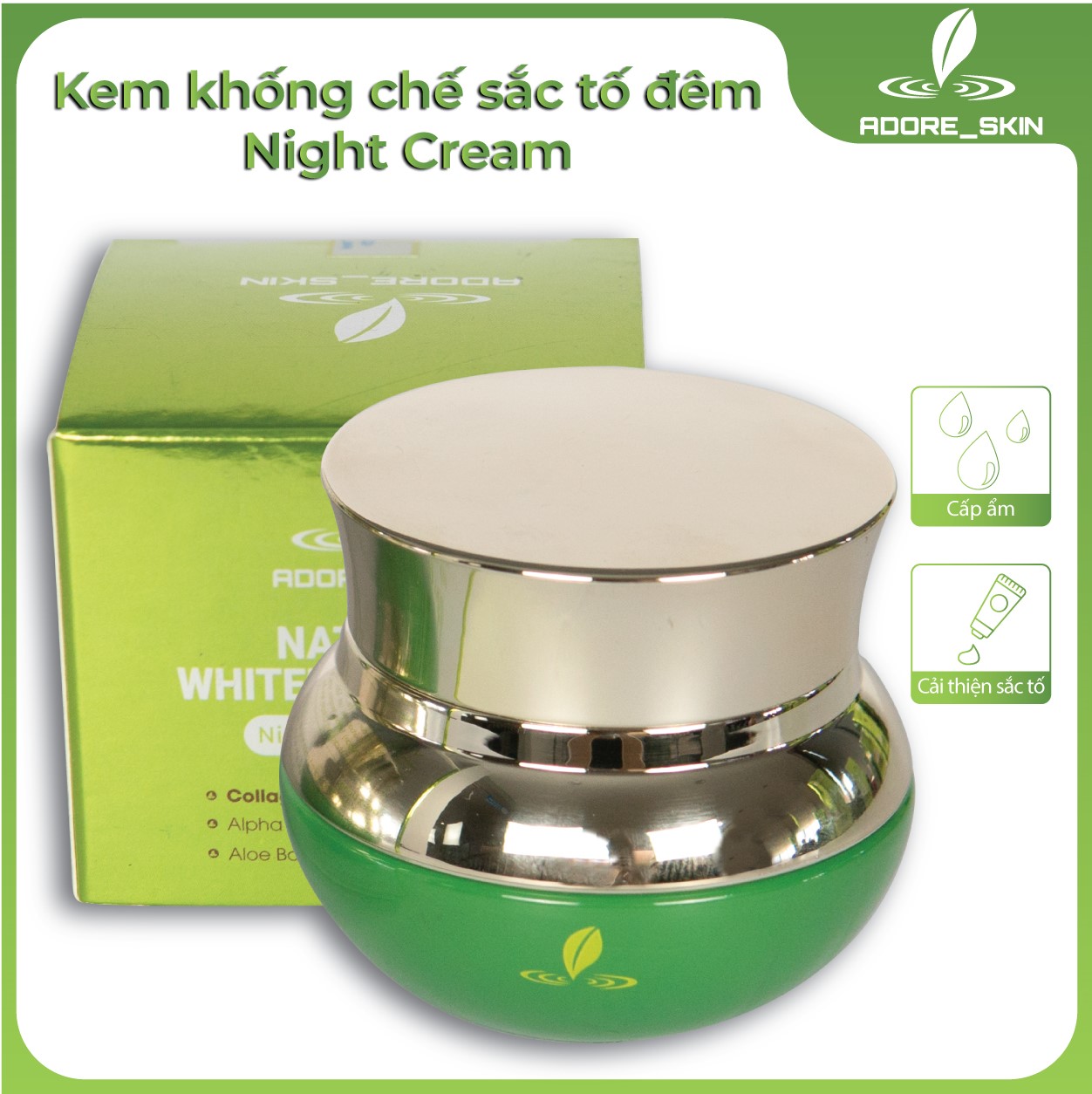 Kem Khống Chế Sắc Tố Đêm Natural Whitening Cream Night Cream