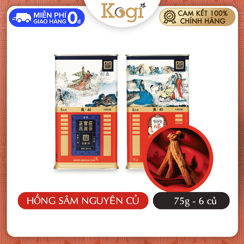 [Chính Hãng]Hồng Sâm Khô Hộp Thiếc 75G6Củ40Pcs 6 Năm Tuổi Hàn Quốc Kgc Kogi Ginseng - Hỗ Trợ Bồi Bổ Nguyên Khí Tăng Cường Sinh Lực Tăng Sự Tỉnh Táo