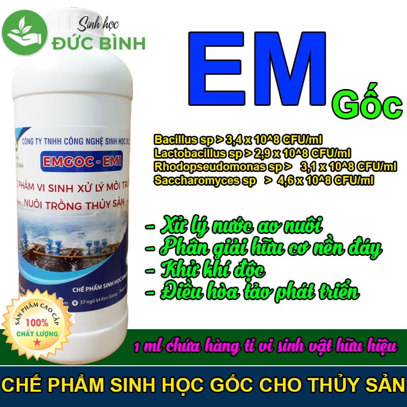 CHẾ PHẨM VI SINH EM GỐC - EM THỦY SẢN MEN VI SINH XỬ LÝ MÔI TRƯỜNG NUÔI TRỒNG THỦY SẢN