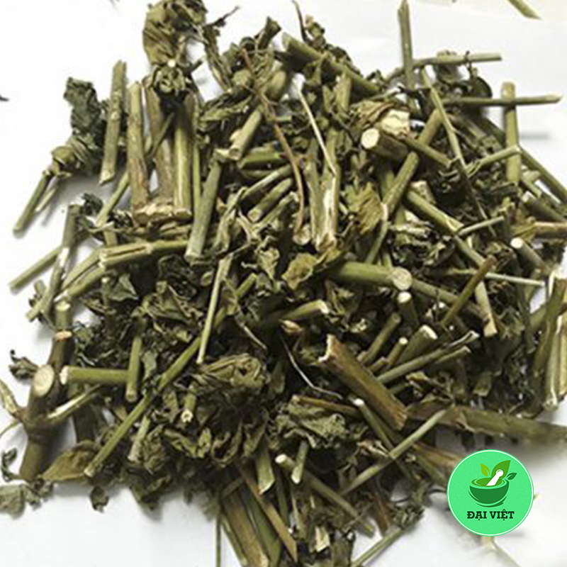 Cây Xương Khỉ (Gói 1Kg Khô) - Dv070