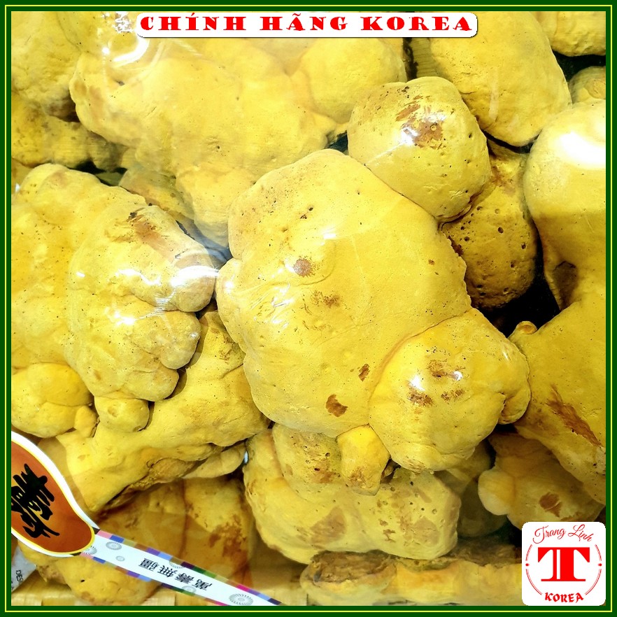 Nấm Thượng Hoàng Hàn Quốc Túi Vip 05Kg - Tăng Đề Kháng Giải Độc Gan Thanh Lọc Cơ Thể. Phòng Ung Thư Trang Linh