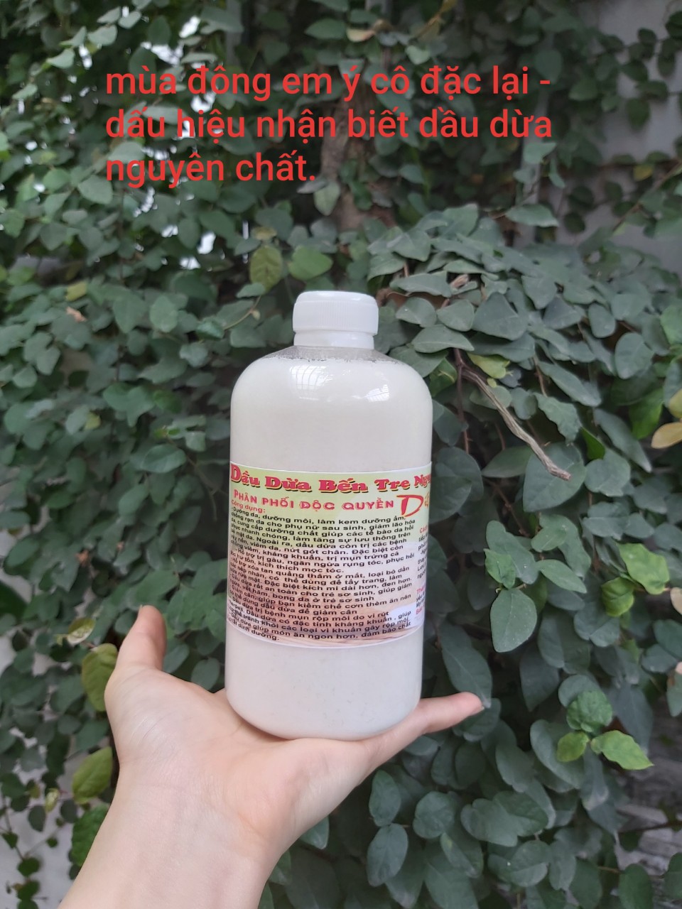 500Ml Dầu Dừa Bến Tre Nguyên Chất