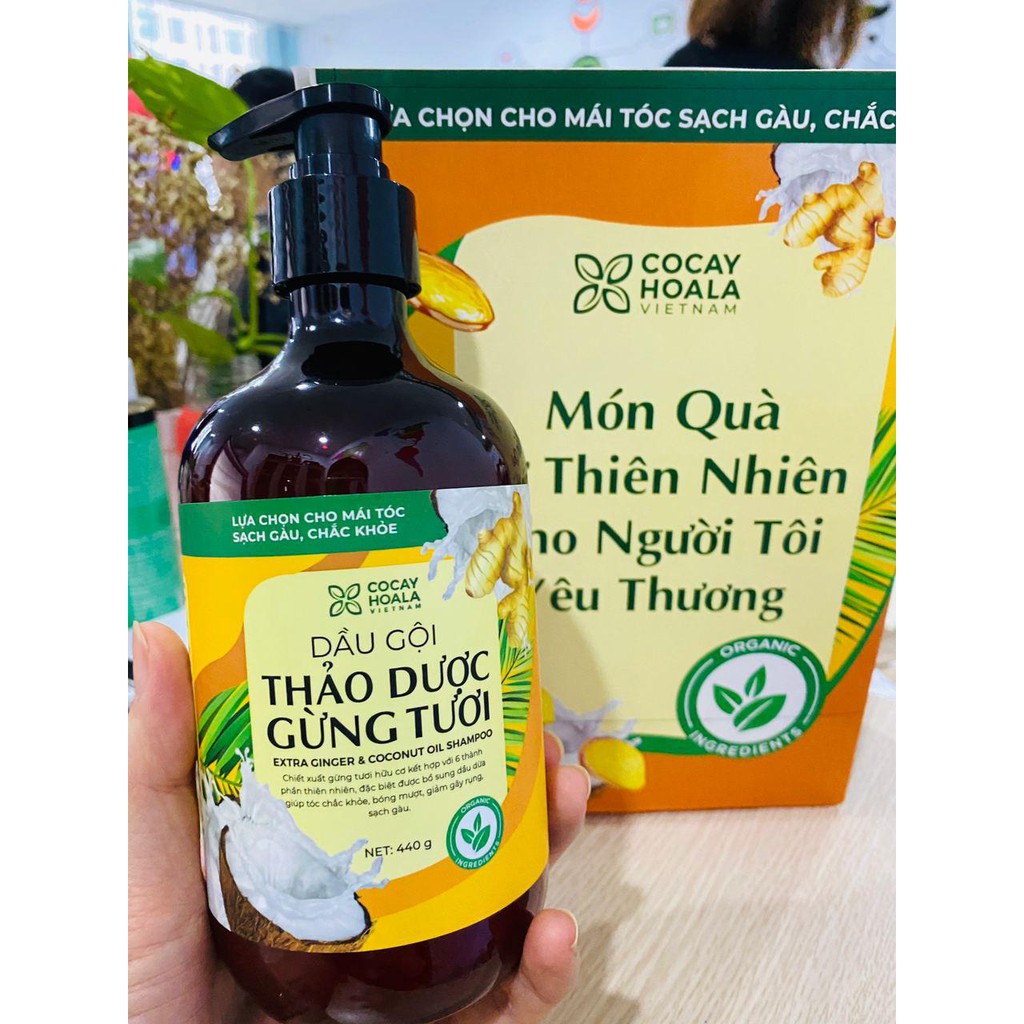 [Hcm]Dầu Gội Thảo Dược Gừng Dừa Cocayhoala Sạch Gàu Giảm Nấm Ngứa Dung Tích 440G/Chai - 95% Thành Phần Từ Gừng Tươi Hữu Cơ Còn Nguyên Xơ Gừng Giảm Rụng Tóc Kích Thích Mọc Tóc Vượt Trội - Hàng Chính Hãng - Ts001