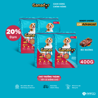 Combo 4 x Thức ăn hạt Ganador cho chó vị Bò nướng 400g