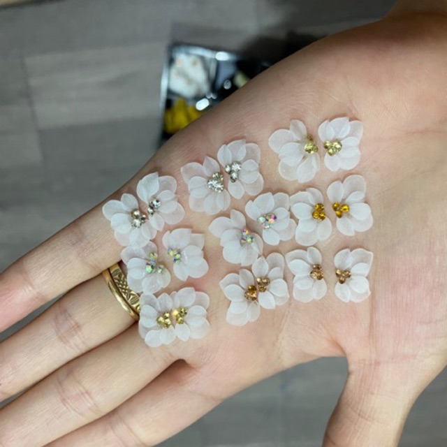 2Hoa bột làm nail giá rẻ