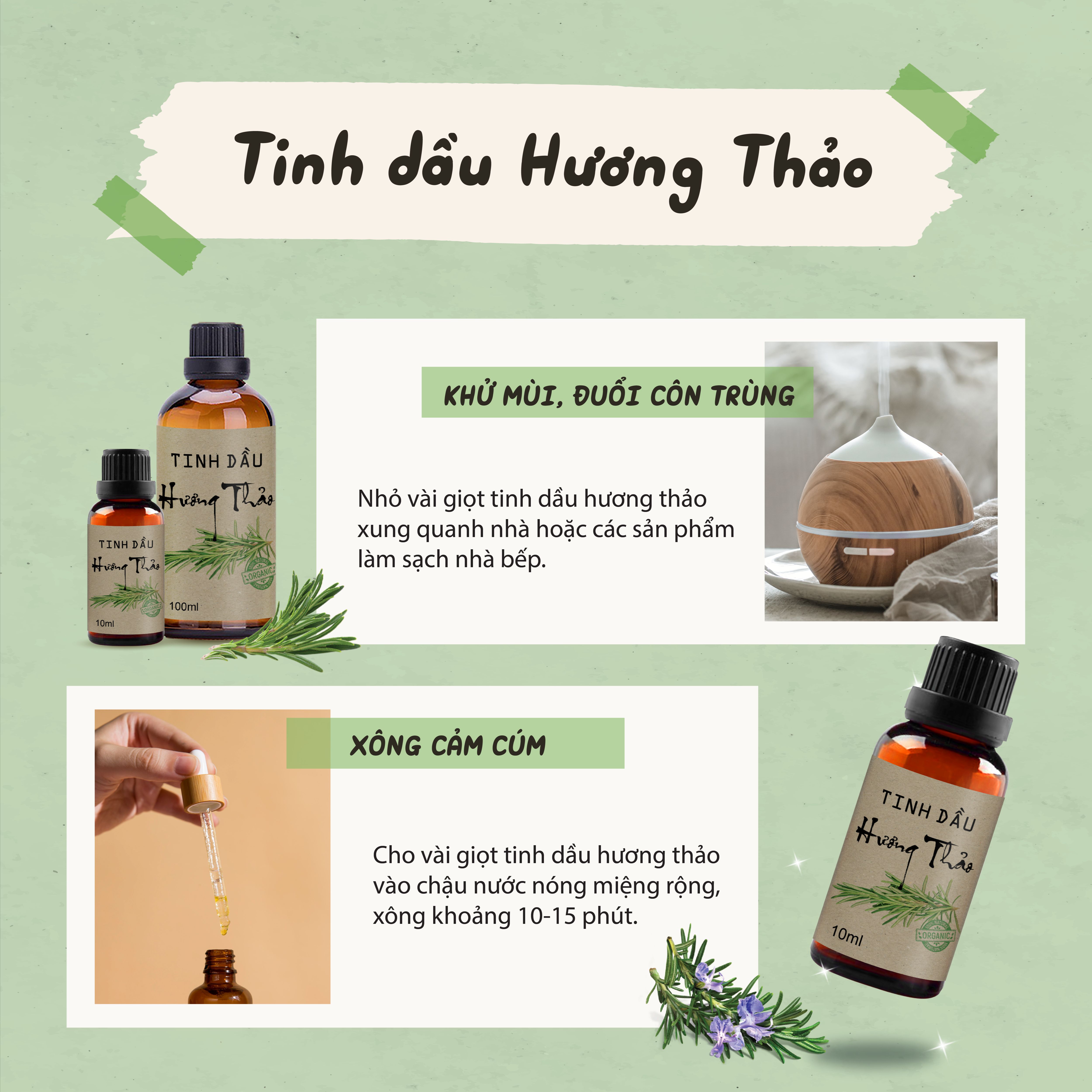 Tinh dầu Hương Thảo (Rosemary) Thảo Mộc nguyên chất 100% từ thiên nhiên thơm phòng xông phòng đuổi muỗi thư giản cải thiện trí nhớ - sunstore.office