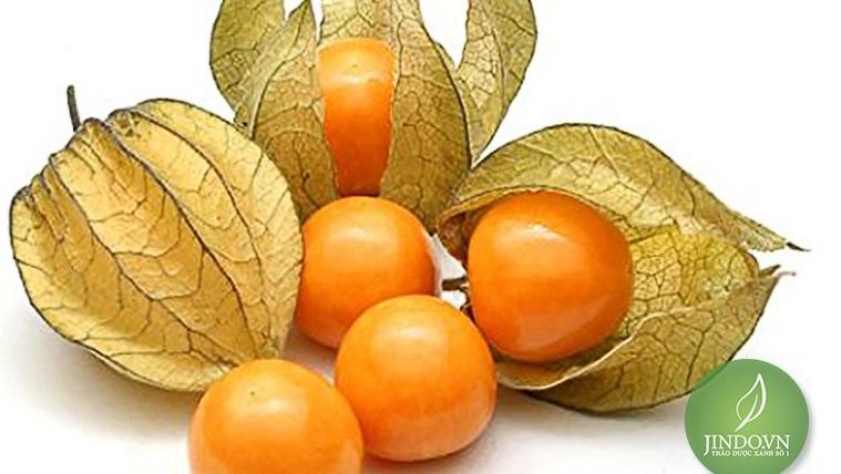 Cây Tầm Bó p khô 500gram - JD080