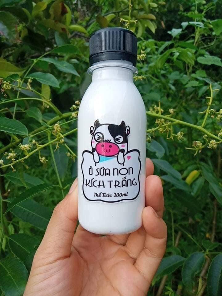 Ủ kích trắng sữa non con bò 100ml