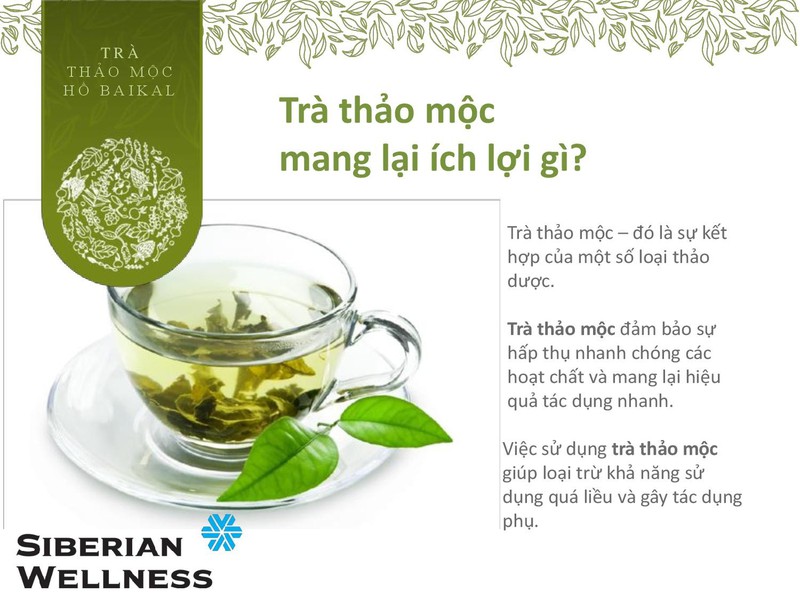 Trà Thảo Mộc Baelen Amin Siberian Wellness Phục Hồi Sức Khỏe Khi Bị Cảm Cúm Từ Nga