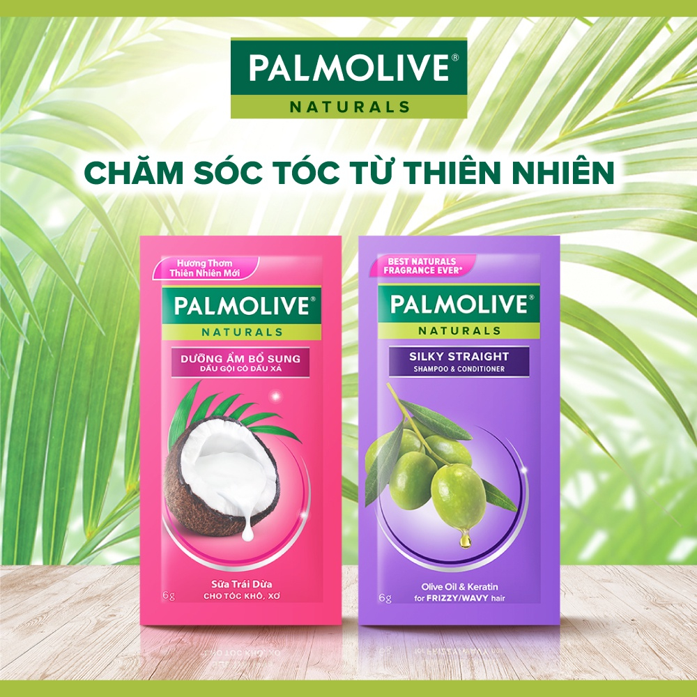 Dây 12 gói dầu gội Palmolive