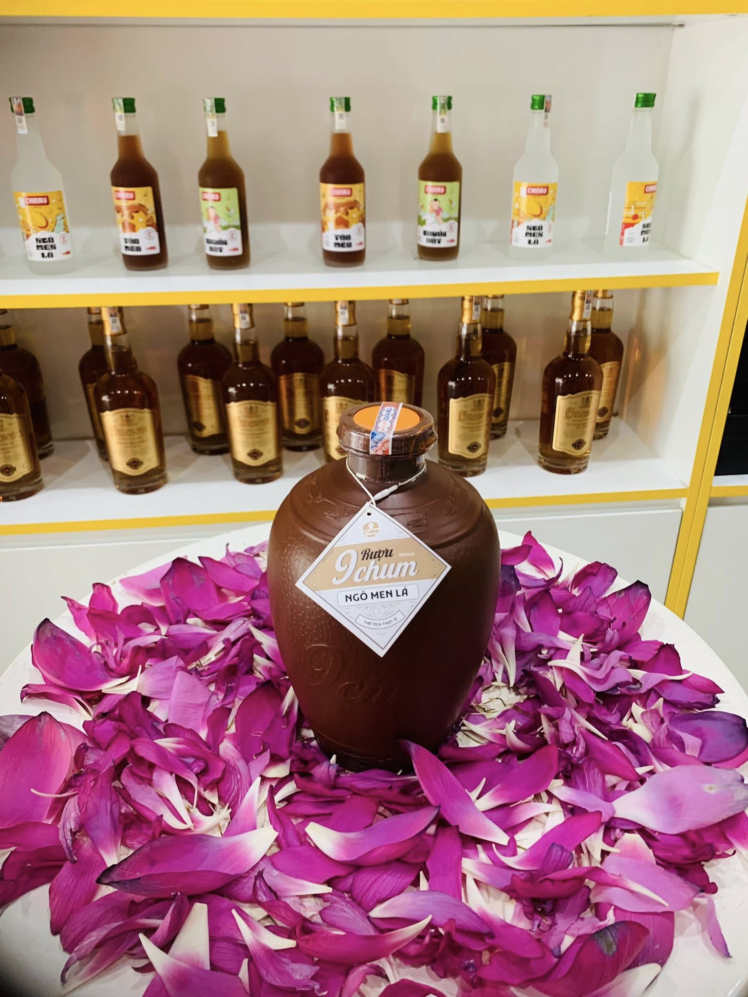 Rượu 9chum Đủ Vị Mơ Rừng Táo Mèo Chuối Hột Ngô Men Lá (Chum Nhựa 3L)