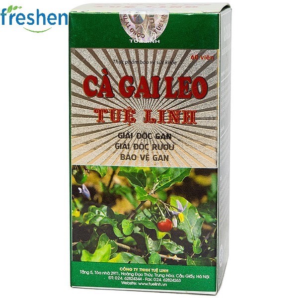 [HCM]Cà gai leo Tuệ Linh hộp 60v- giải độc rượuhỗ trợ viêm gan Bxơ gan hiểu quả an toàn