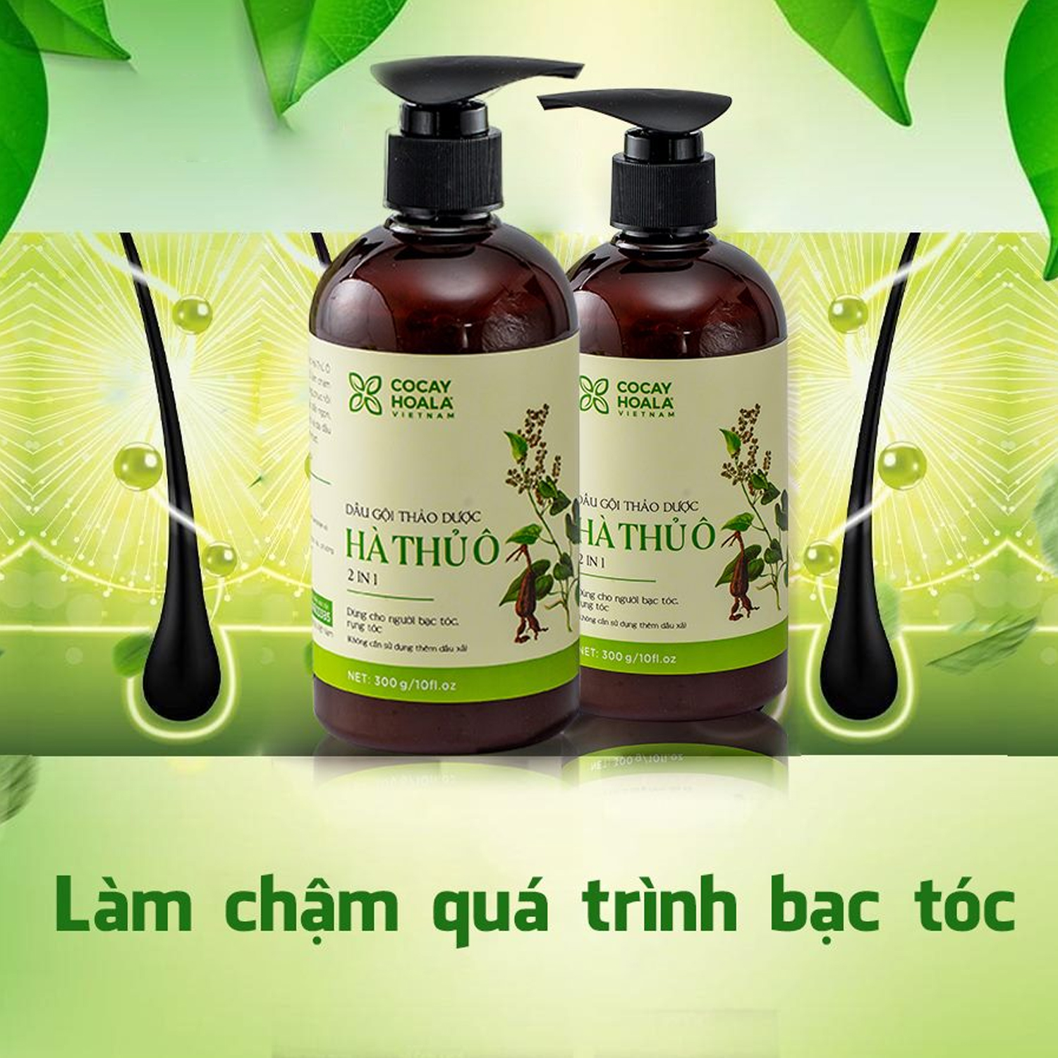 [HCM][ Hàng chuẩn] Dầu gội thảo dược Hà Thủ Ô 300ml – mẫu mới