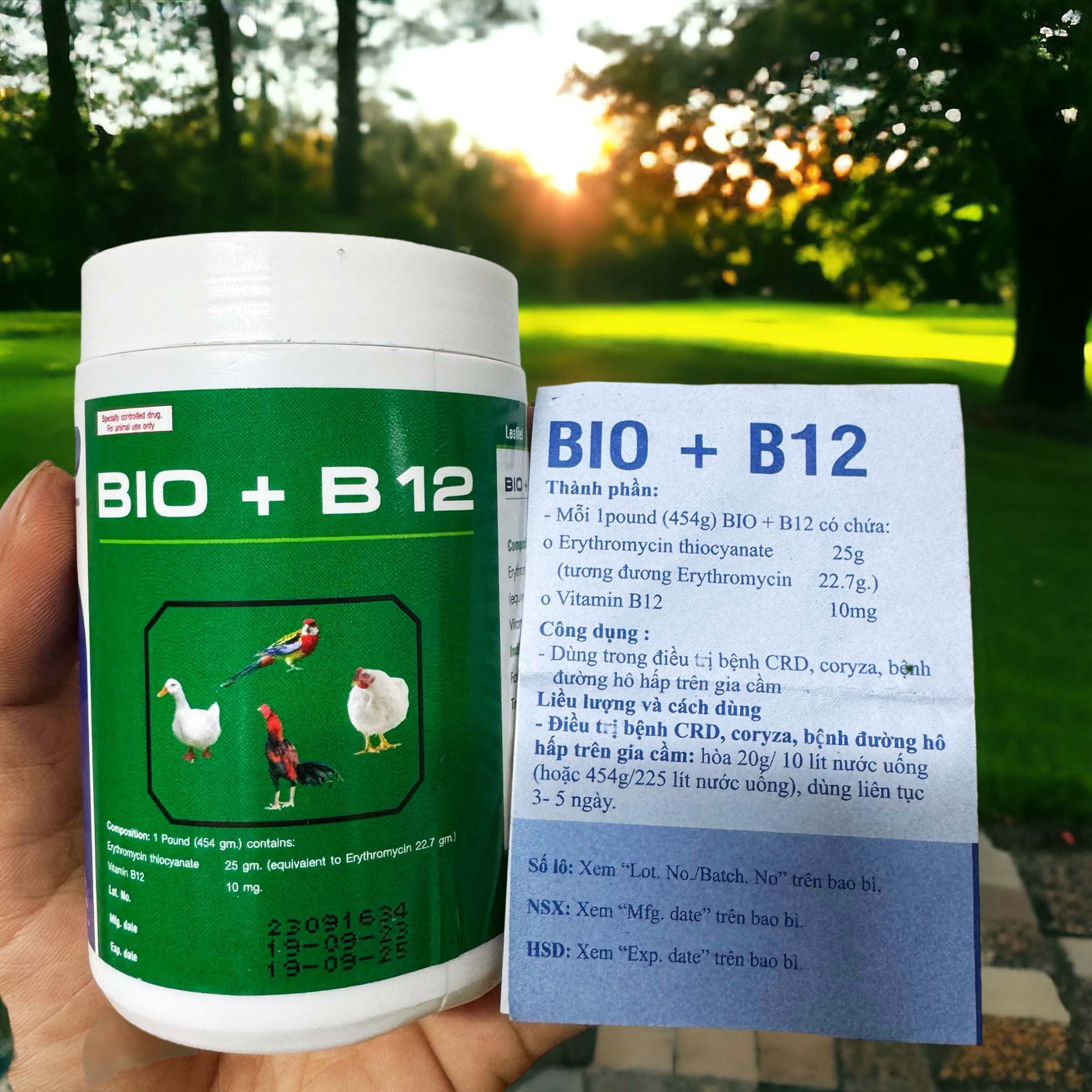 BIO B12 Úm Gà Con Úm Gà Đá Chim Cảnh