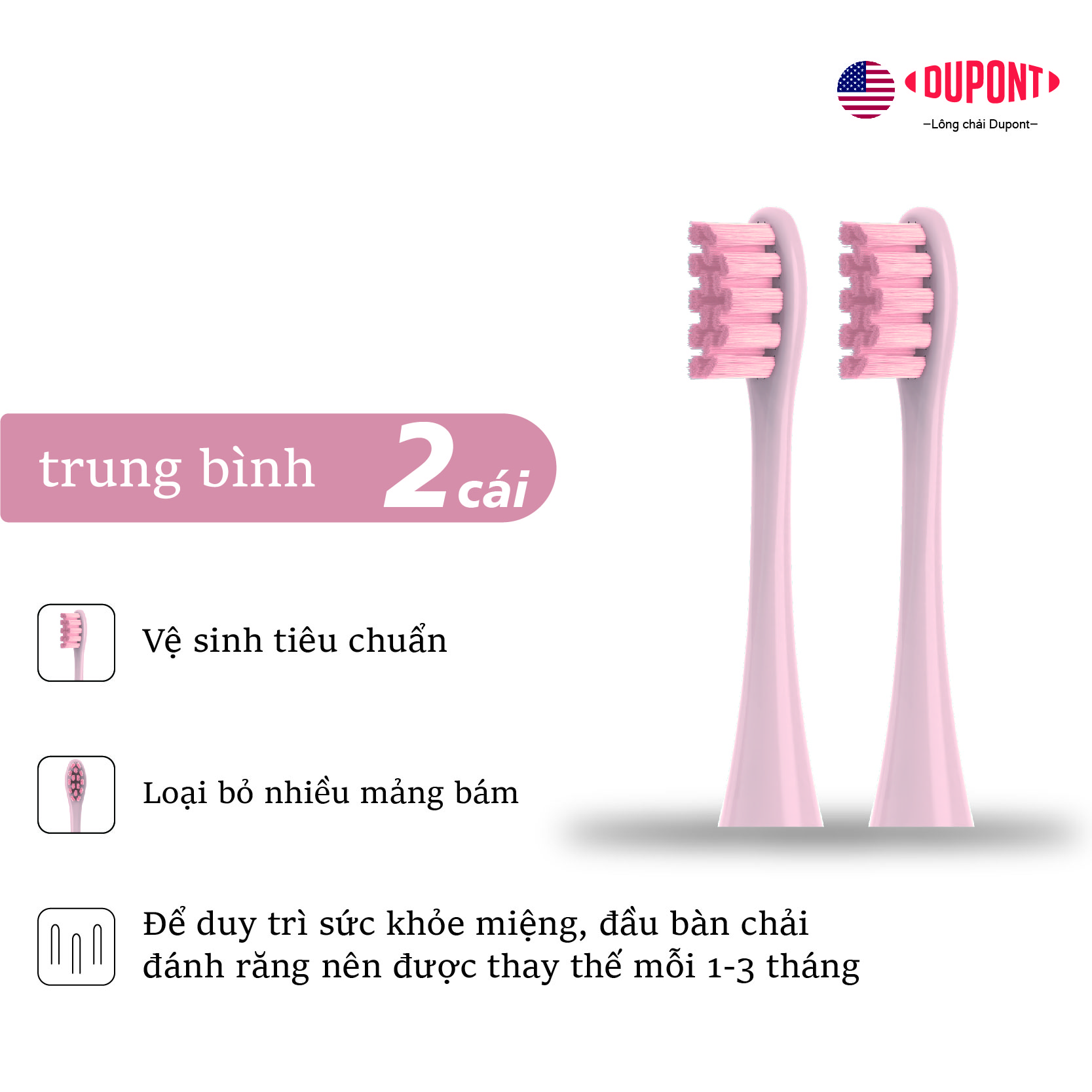 Đầu bàn chải đánh răng điện có thể thay thế oclean Tương thích với tất cả các mẫu bàn chải đánh răng
