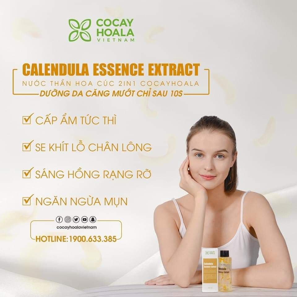 Nước Thần Hoa Cúc - Cỏ Cây Hoa Lá