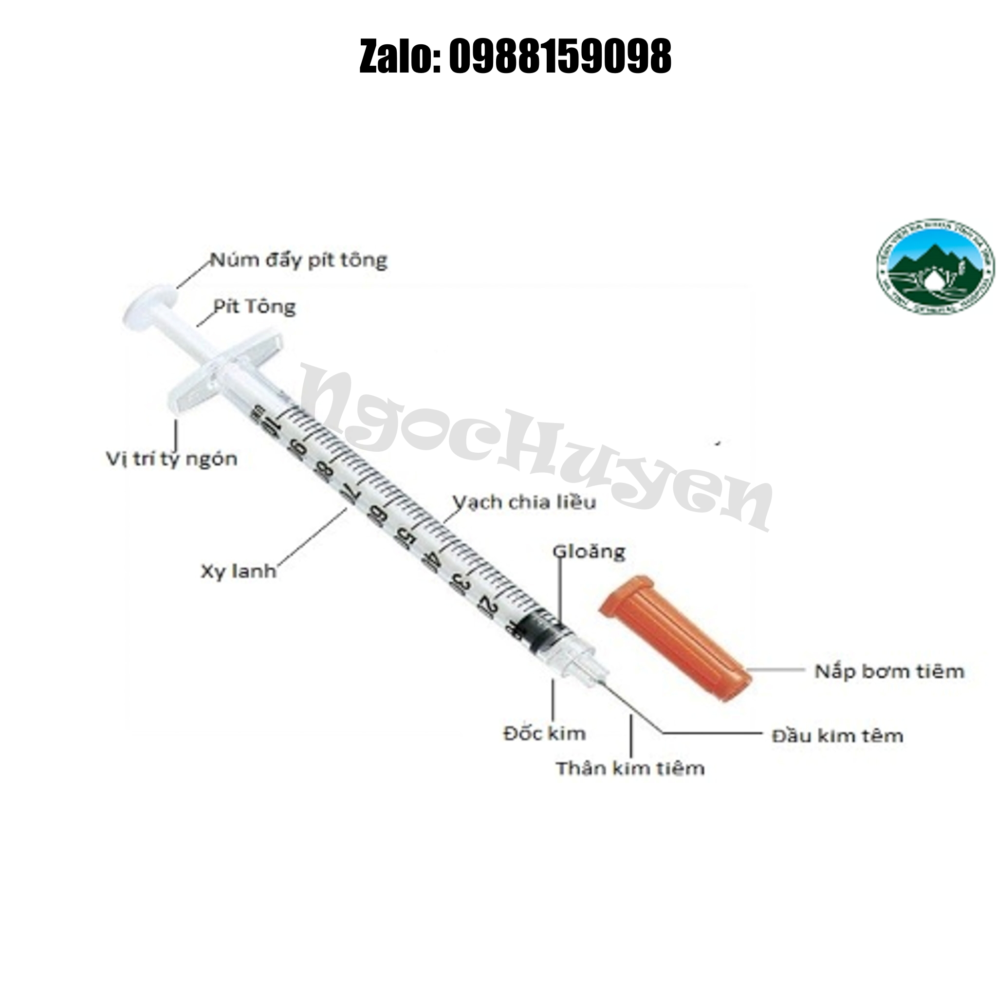 Kim tiểu đường - 1 kim