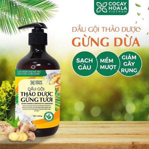 [Hcm]Dầu Gội Thảo Dược Gừng Tươi [01Dgct]