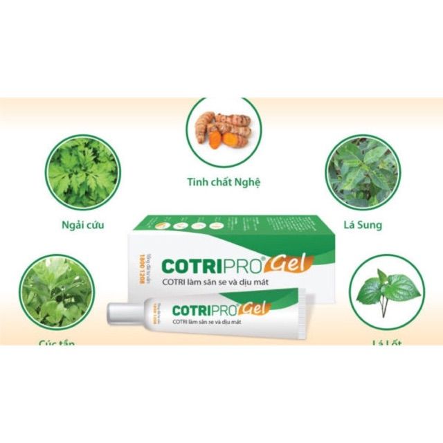 [Hcm]Cotripro Gel 10G Kem Bôi Trĩ