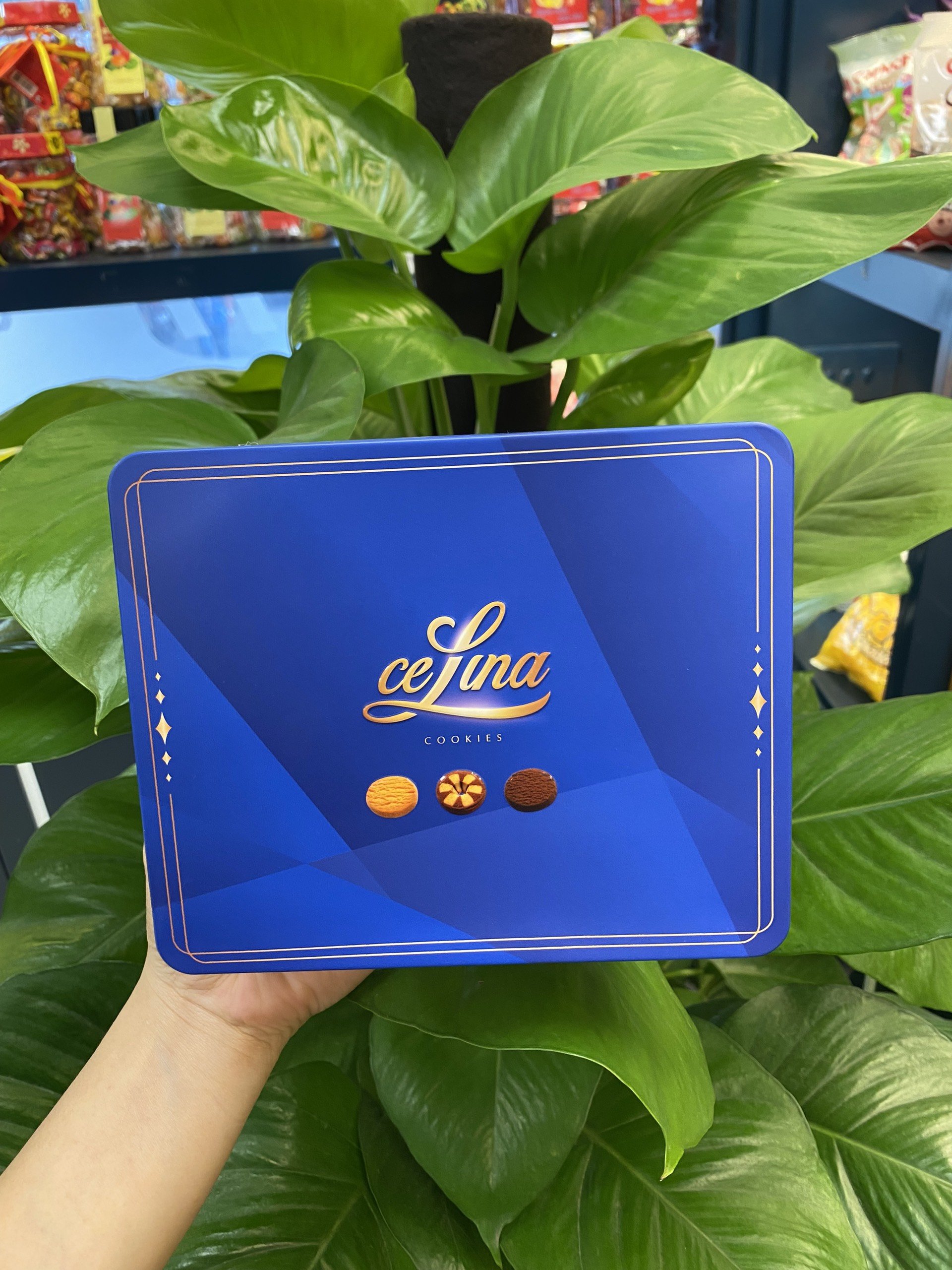 Bánh quy hỗn hợp Celina 180g Hộp sắt