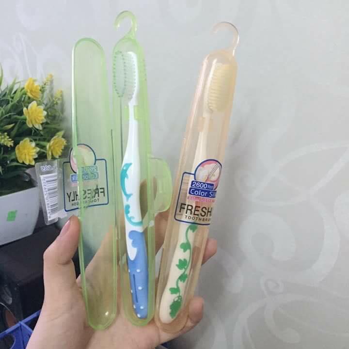 Set 5 Bàn Chải Đánh Răng Dạng Hộp Có Móc Thái Lan Suree - Douji - Freshly