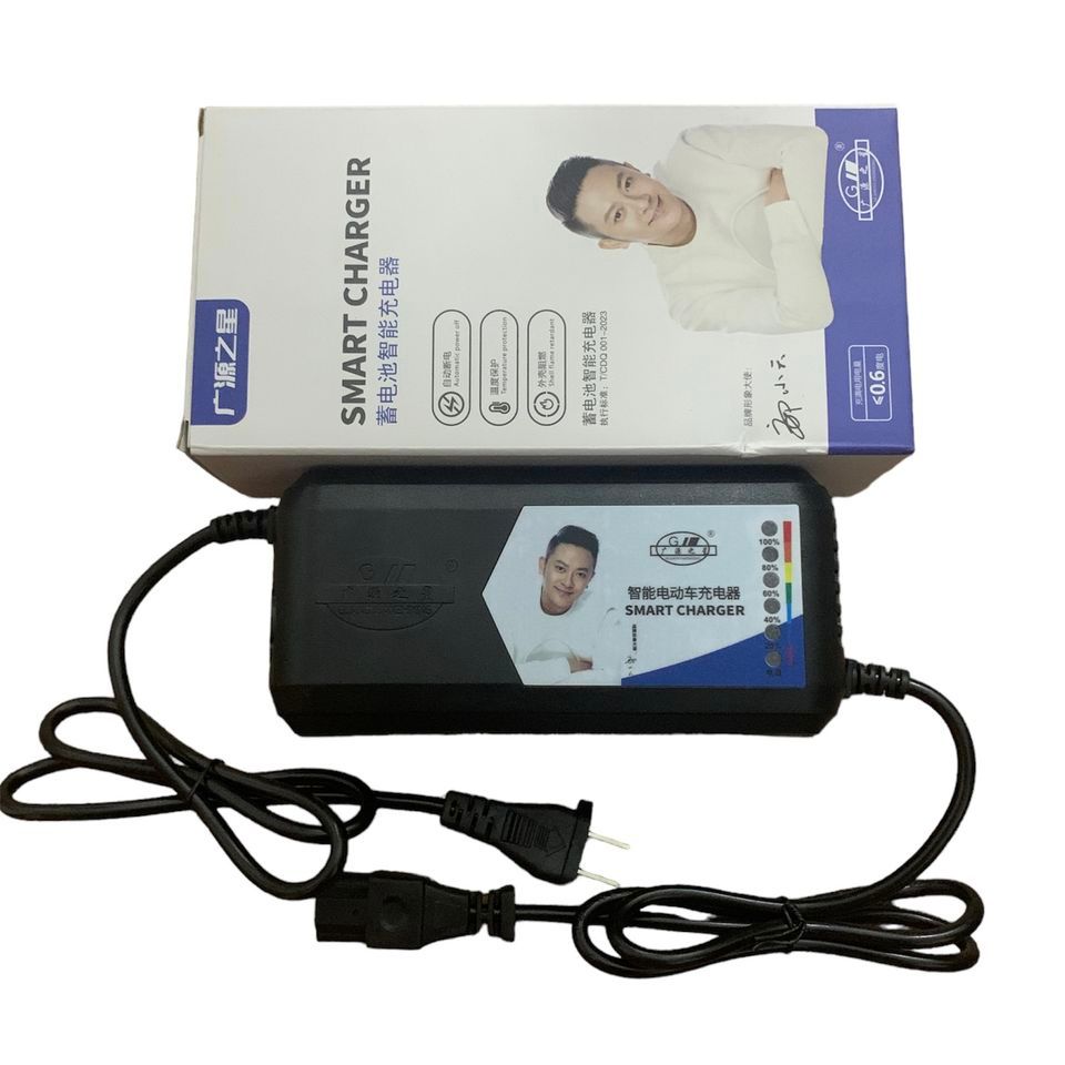 Sạc xe điện Xmen  Vespa gogo 60V - 20A 30ah ( sạc 5 bình to )