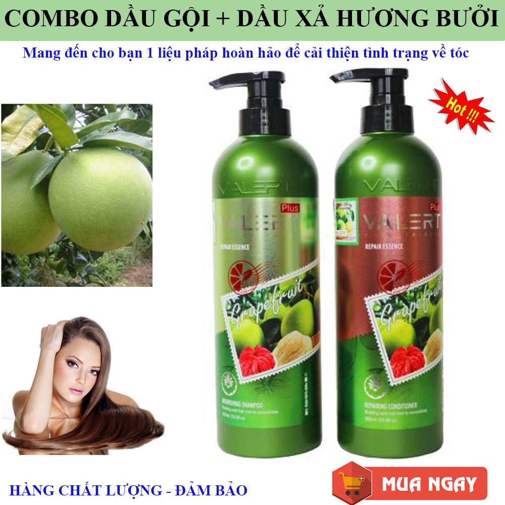 Com Bo Dầu Gội Xả Cao Cấp Grapefruit Plus  Dầu Gội Xả Bưởi Cao Cấp Nhập Khẩu Bộ Dầu Gội Xả Bười. Ngăn Ngừa Rụng Tóc và Nấm Ngứa Da Đầu Phục Hồi Tóc Hư TổnKhô Xơ và Chẻ Ngọn Giúp Tóc Chắc Khỏe Sáng Bóng Mềm Mượt. Giá Cực Sốc Hãy Mua Ngay!