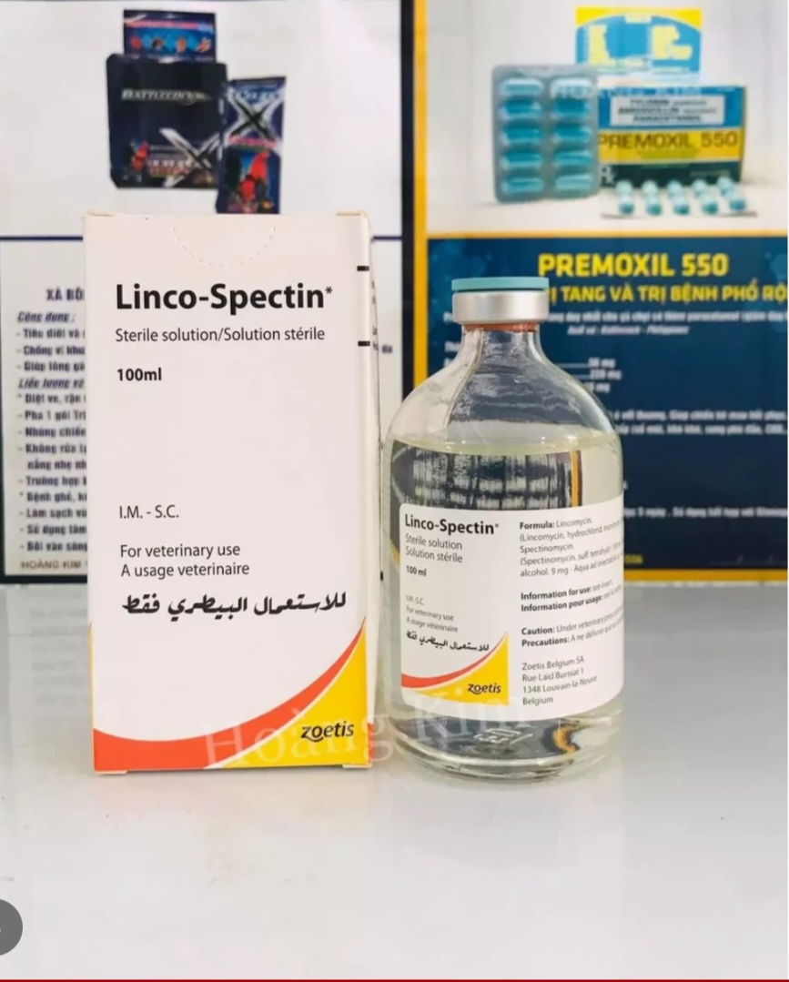 Linco Spectin 100ml Nhập Mỹ Khè Sỗ Mũi Tang Gà Đá (TẶNG TIÊM 1CC)