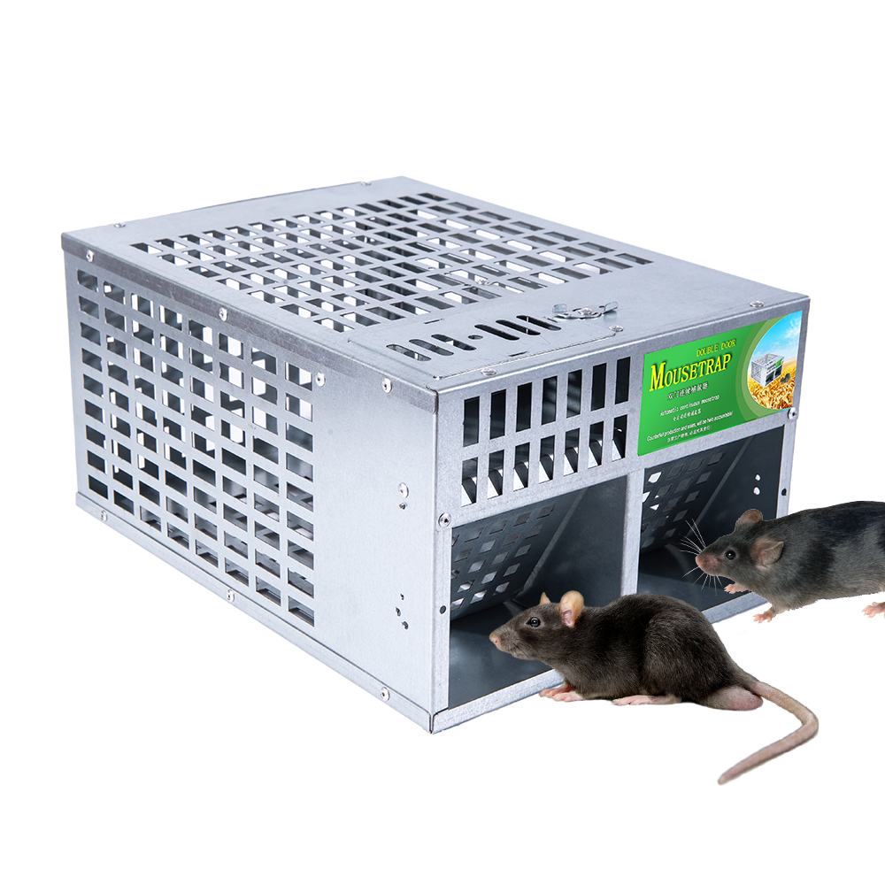 🔥🔥🔥COD【Giá sỉ】Bẫy chuột thông minh Cửa đôi và mở kép bắt chuột hiệu quả và liên tục có thể tái sử dụng(cổ phiếu lớn）