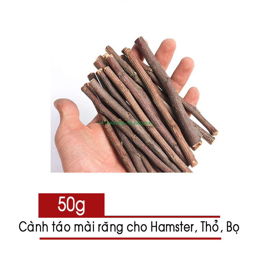 Cành táo mài răng cho Hamster, Thỏ, Bọ - 50gr
