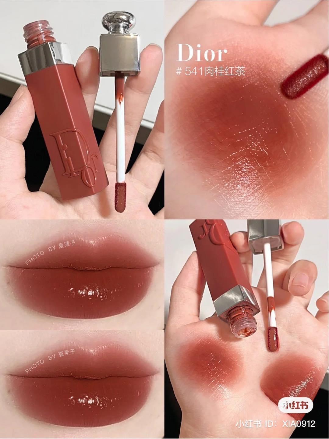 Dior  Summer 2022 Dior Addict Lip Tint Review and Swatches  The Happy  Sloths Beauty Makeup and Skincare Blog with Reviews and Swatches