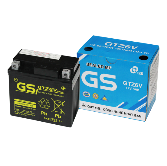 Bình acquy xe máy khô miễn bảo dưỡng GS GTZ6V (12V-5AH) ắc quy xe máy honda 12v.