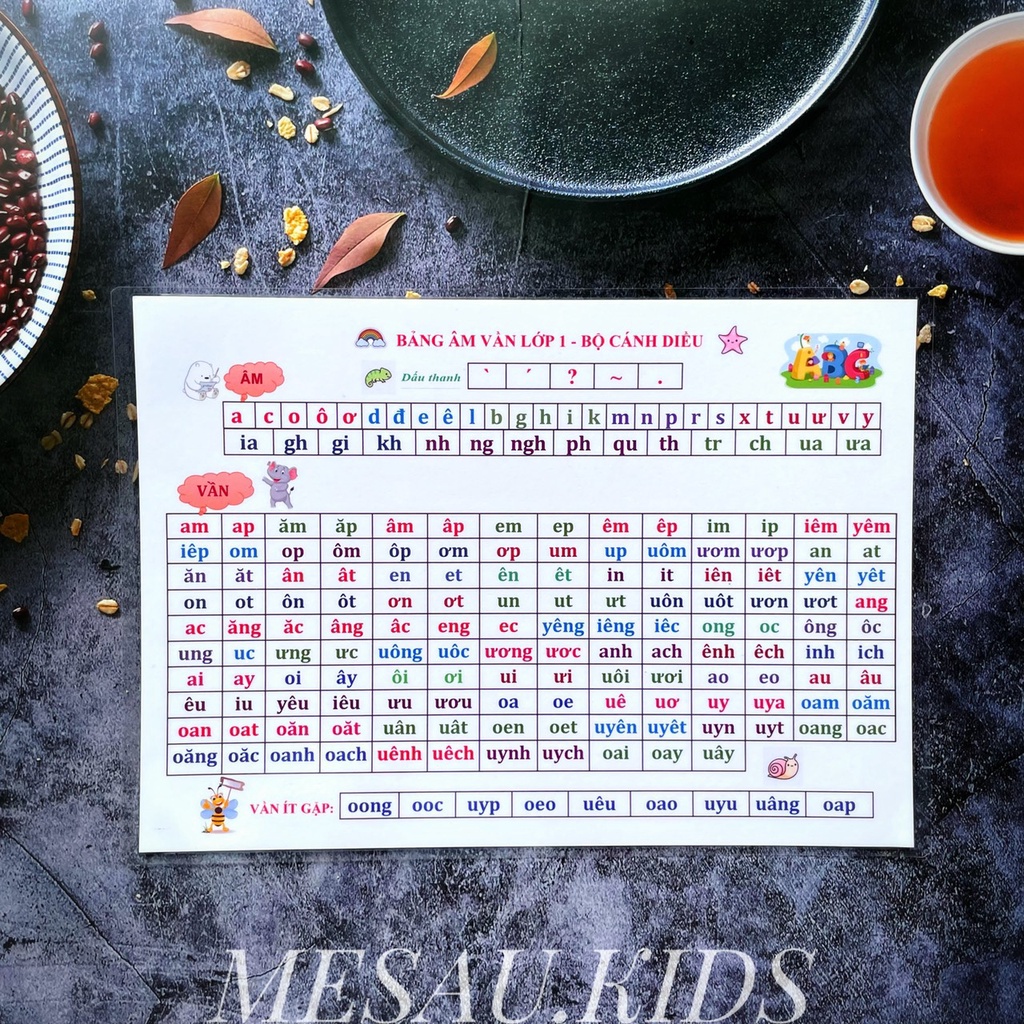 Bảng Chữ Cái Bảng Âm Vần 2 Trong 1 Lớp Tiền Tiểu Học Lớp 1 Đồ Dùng Dạy Học Kết Nối Tri Thức MESAU.KI