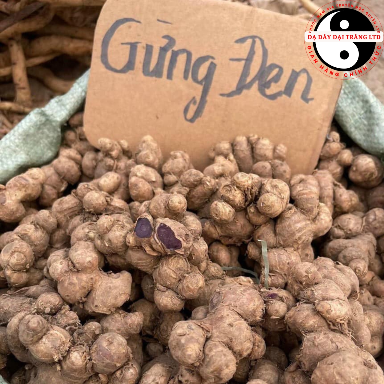 Cách chế biến gừng đen như thế nào Tận dụng tối đa công dụng của gừng đen Cách chế biến gừng đen như thế nào Tận dụng tối đa công dụng của gừng đen