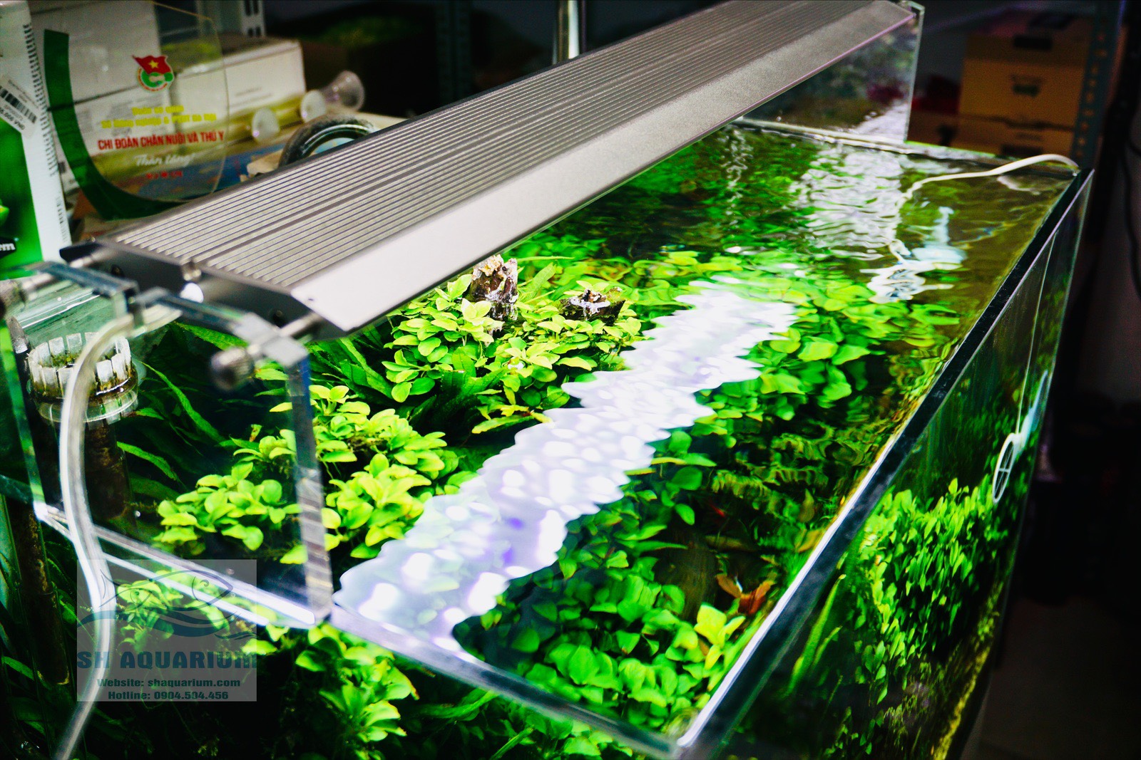 [HOÀN TIỀN 10%]ĐÈN WEEK AQUA M1200 PRO