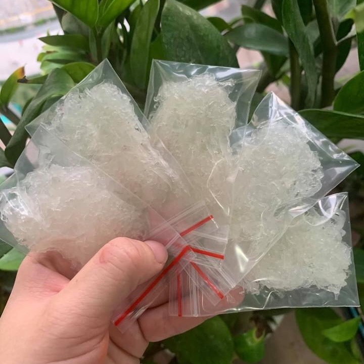 Yến Tươi