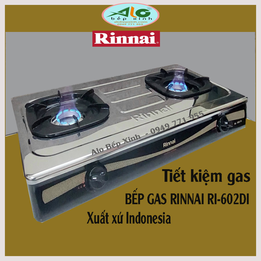 Bếp gas Rinnai RI-602DI - Bếp ga Rinnai 602DI xuất xứ Indonesia - đầu đốt trong, tiết kiệm 30% gas - BH 2 năm - Alo Bếp Xinh