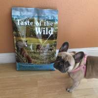 Thức ăn chó Taste of the wild (nguyên seal 122kg) vị nai nướng