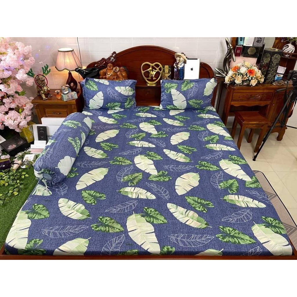 Bộ Drap Thun Hàn Quốc Mát Lạnh Cực Hot 1M4