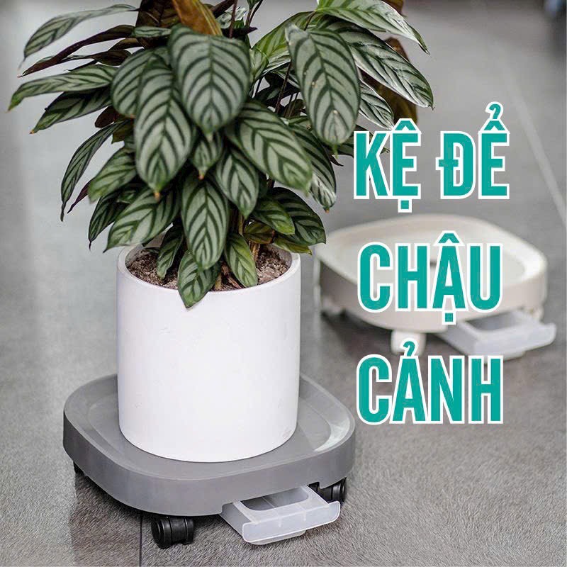 Đế lót chậu hoa cây cảnh có bánh xe thông minh - kệ để chậu cảnh đế lót đế lót chậu cây đế lót chậu 